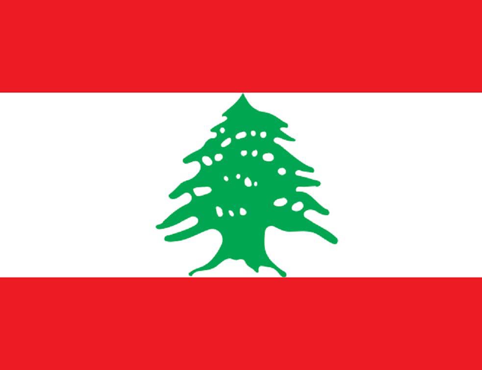 Libanska zastava, VIKI
